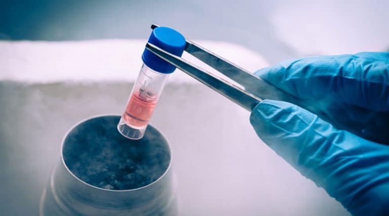 A gloved hand uses metal tweezers to hold a vial with pink liquid above a container emitting cold vapor, suggesting a laboratory or cryogenic storage setting for Cancer Research or Adult Stem Cells.