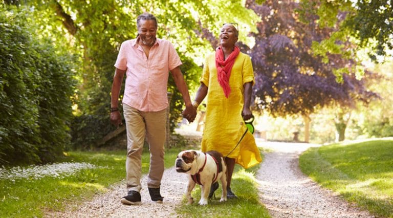 An older couple smiles while walking hand in hand down a sunny, tree-lined Michigan path. The woman, in a yellow dress, holds a bulldog’s leash as they enjoy the outdoors—cherishing life’s moments and the potential of stem cell benefits.