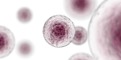 Close up image of a red cell.