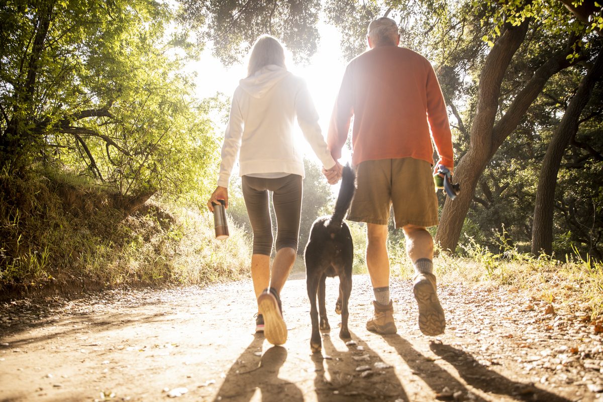 An older couple walking hand-in-hand with their dog along a sunlit dirt path in the woods.