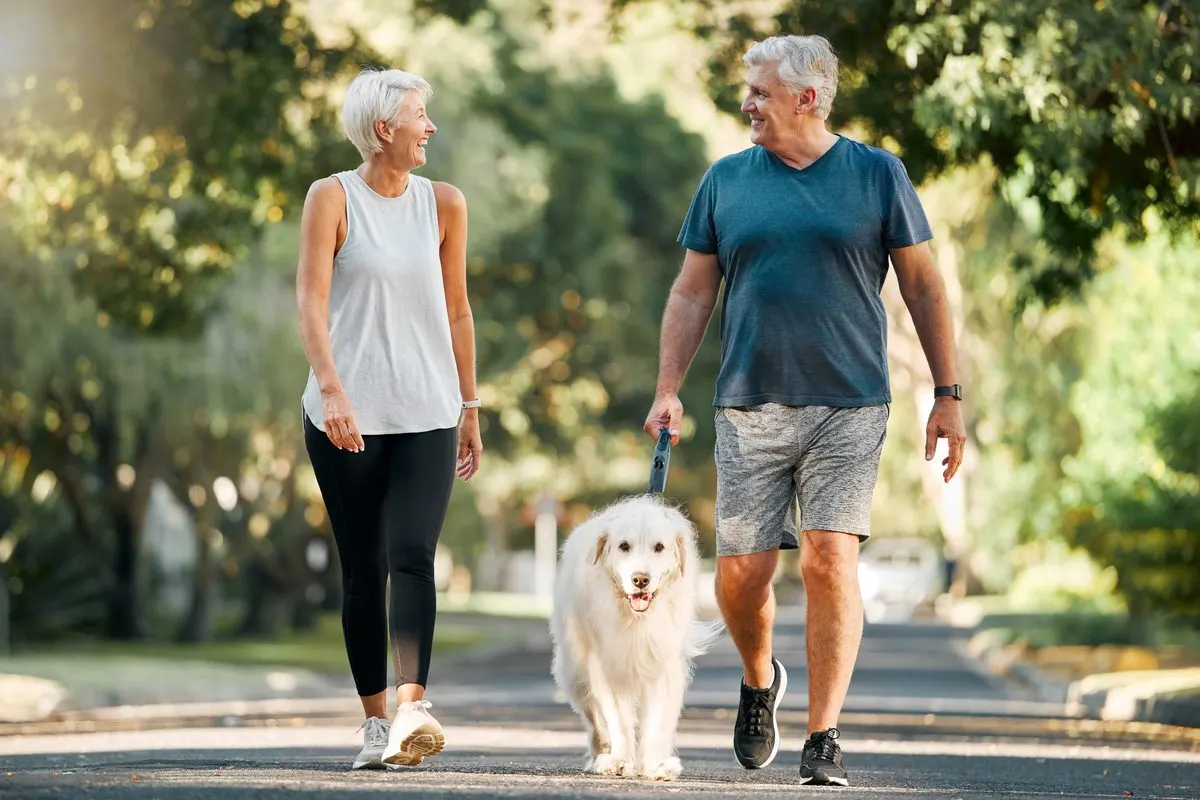 An older couple walks a fluffy white dog down a tree-lined street.