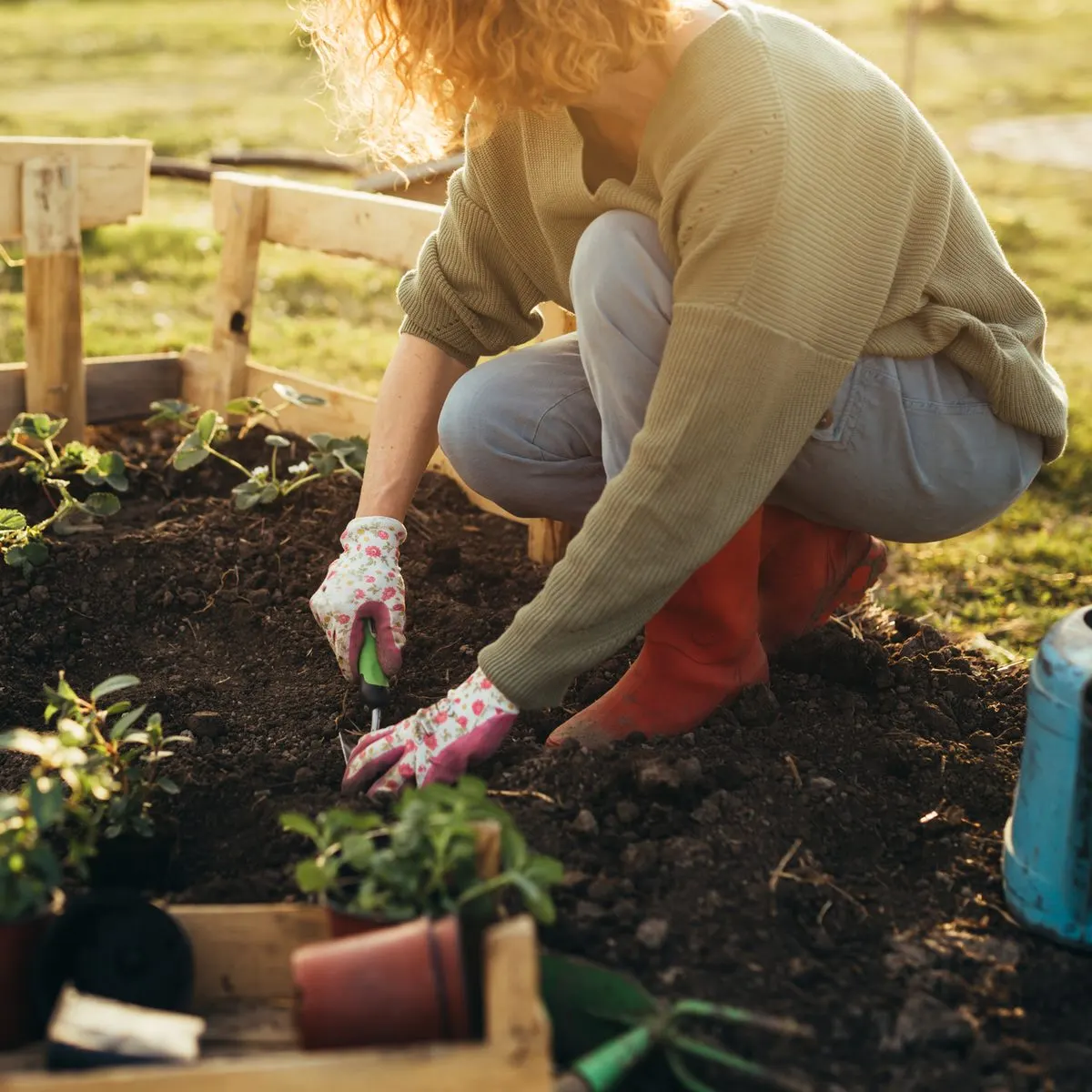 A person wearing floral gloves and red boots squats in a garden, using a hand trowel to work the soil.